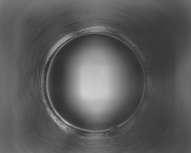 X0000085251426200703161240