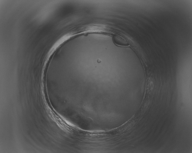 X0000085251427200703161240