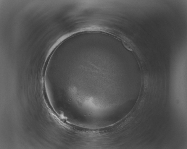 X0000085251428200703161240