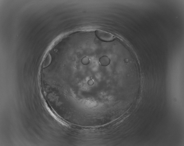 X0000085251429200703161240