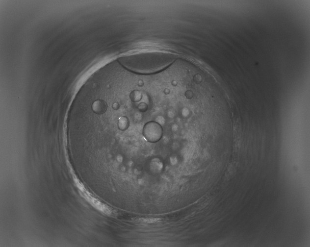 X0000085251431200703161240