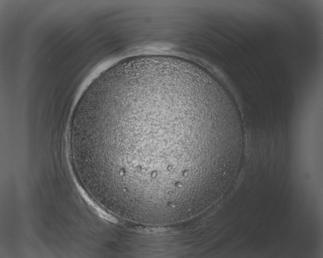 X0000085251432200703161240