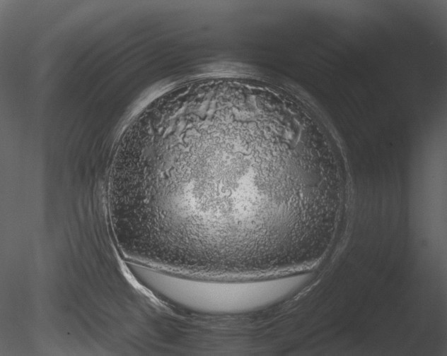 X0000085251433200703161240