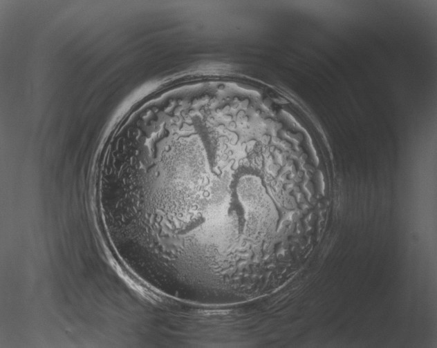 X0000085251437200703161240