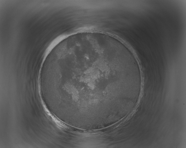 X0000085251440200703161240