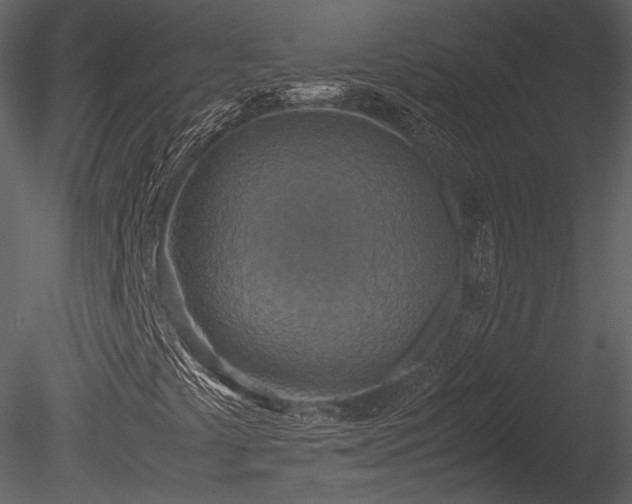 X0000085251441200703161240