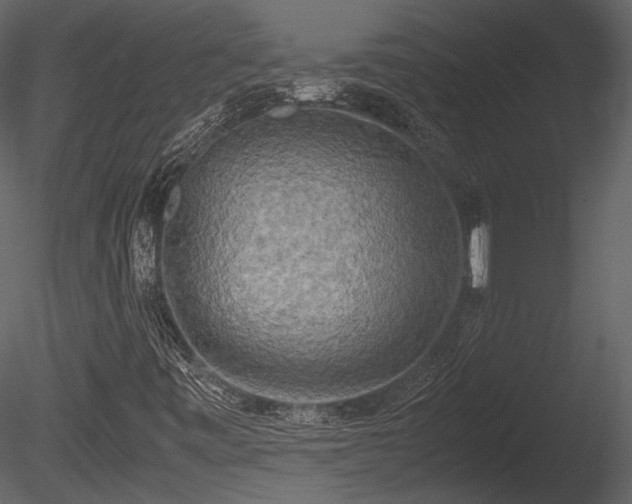 X0000085251443200703161239