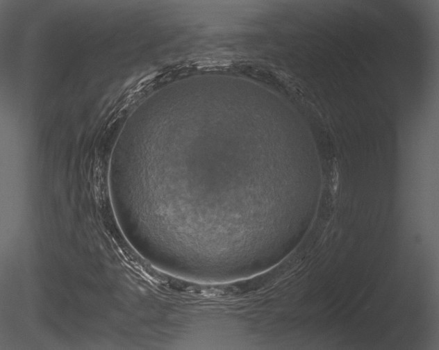 X0000085251445200703161239