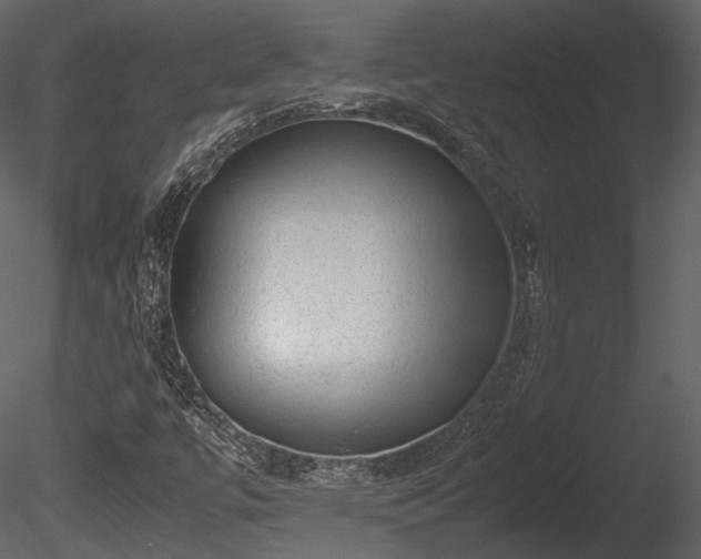 X0000085251447200703161239