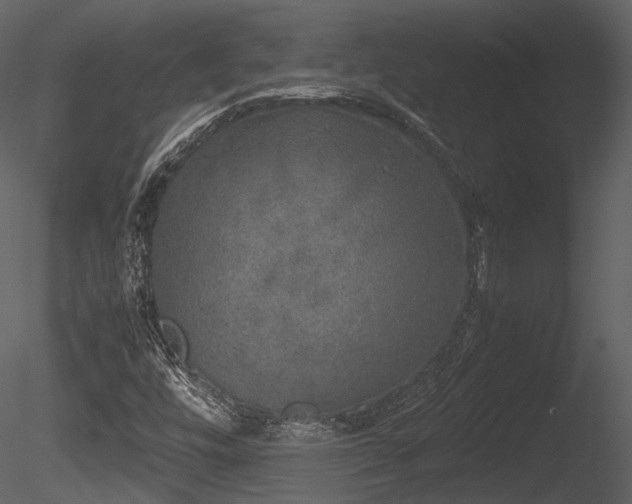 X0000085251448200703161239