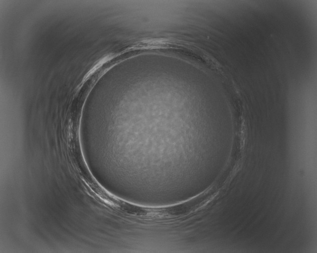 X0000085251449200703161239