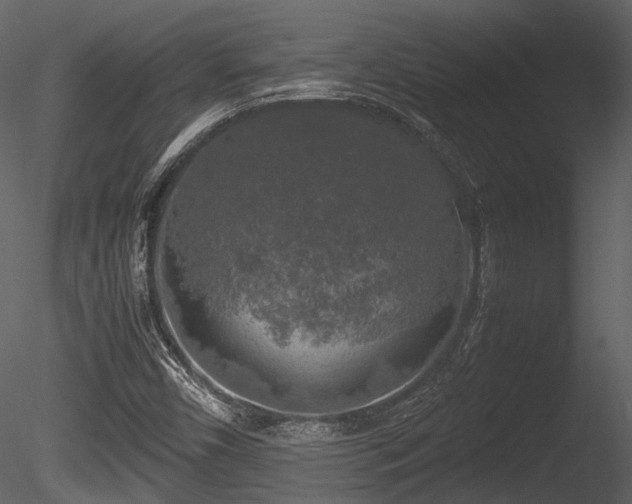 X0000085251450200703161239