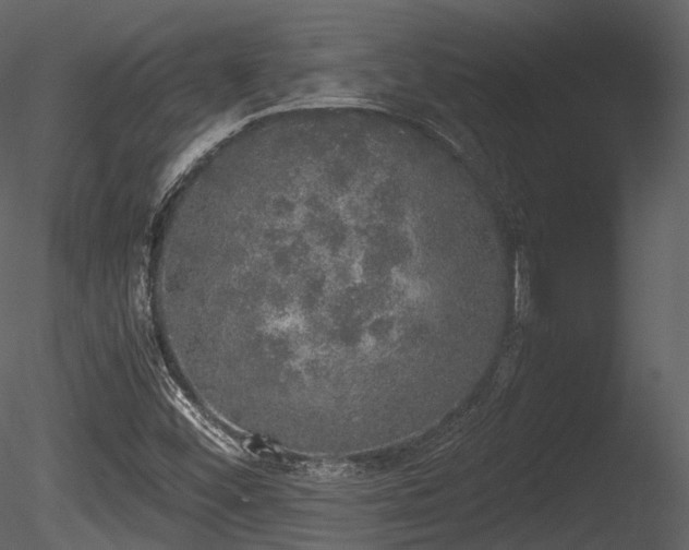 X0000085251452200703161239