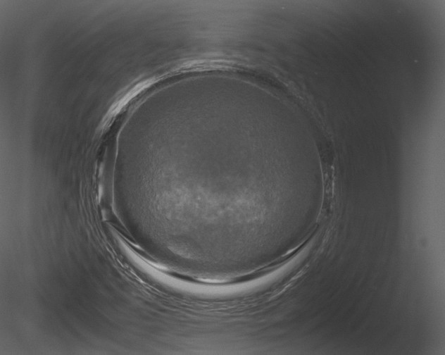 X0000085251453200703161239