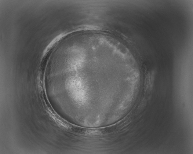 X0000085251454200703161239