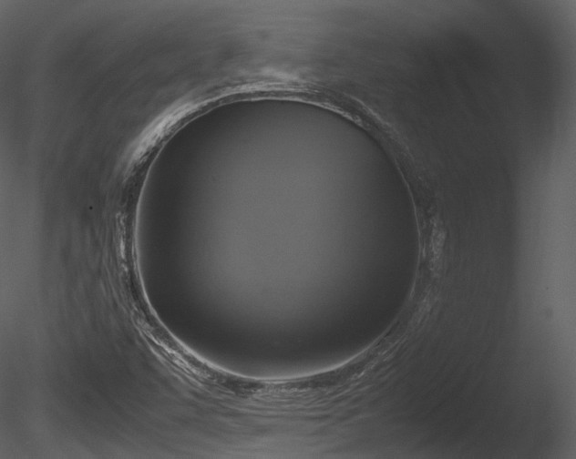 X0000085251455200703161239