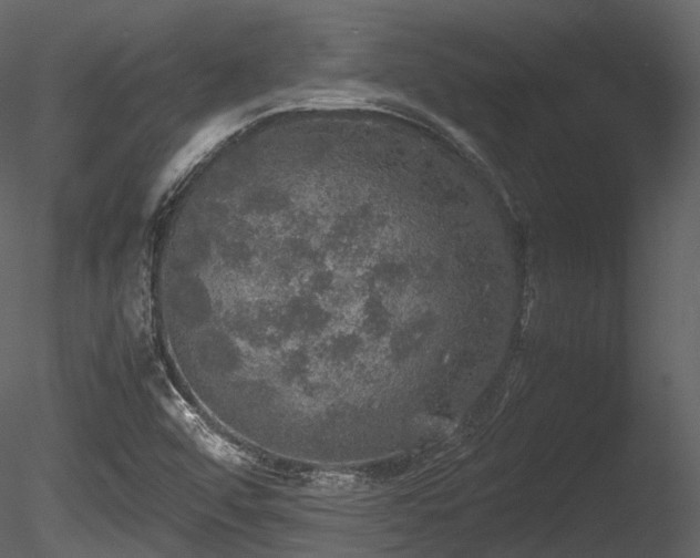 X0000085251456200703161239