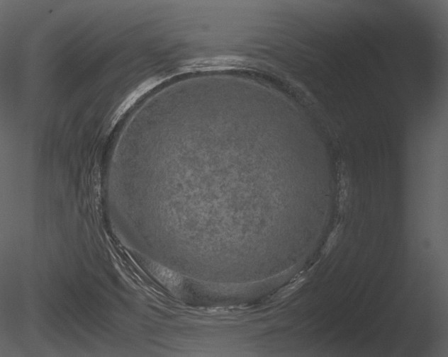 X0000085251457200703161239