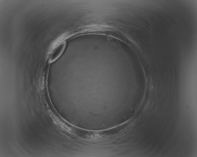 X0000085251459200703161239