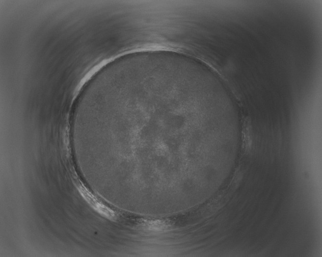 X0000085251460200703161239