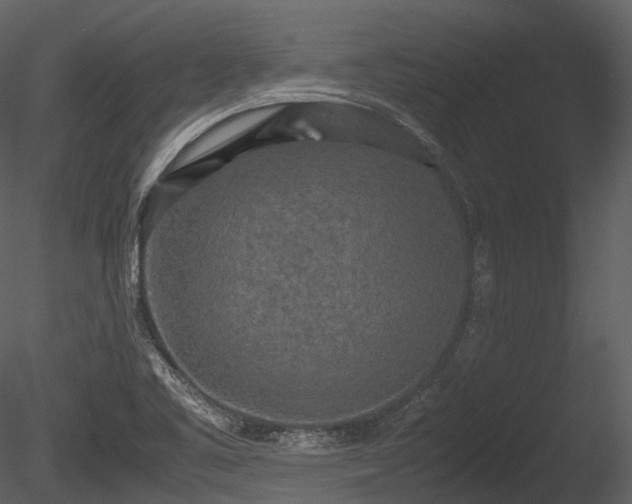 X0000085251461200703161239