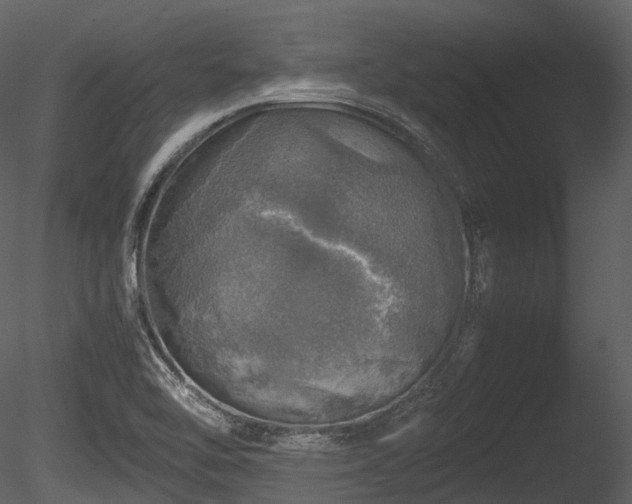 X0000085251462200703161239