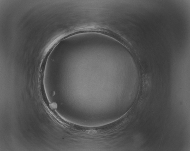 X0000085251463200703161239