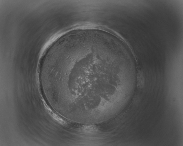 X0000085251464200703161239