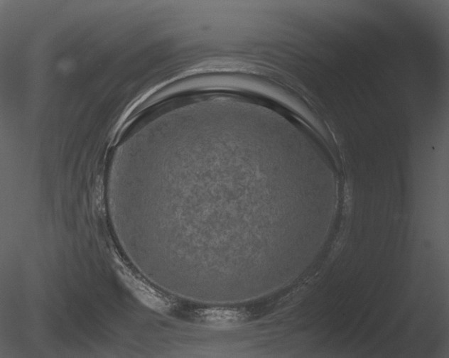 X0000085251465200703161239