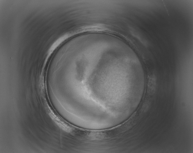 X0000085251466200703161239