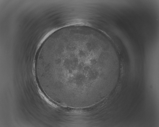 X0000085251468200703161239