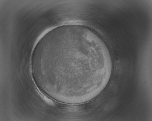 X0000085251470200703161239