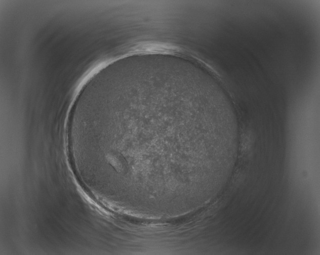 X0000085251471200703161239