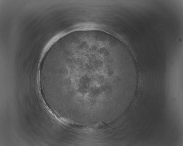 X0000085251472200703161239