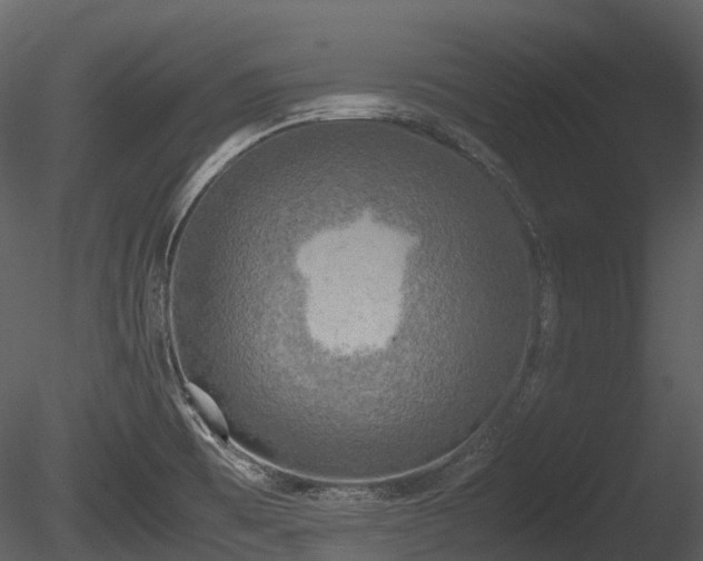 X0000085251473200703161239