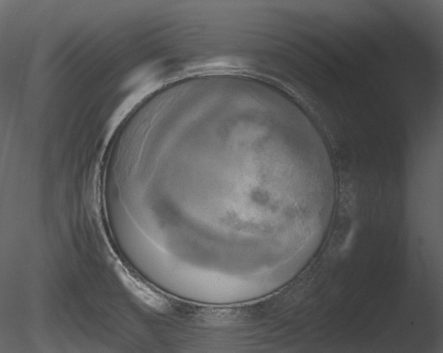 X0000085251474200703161239