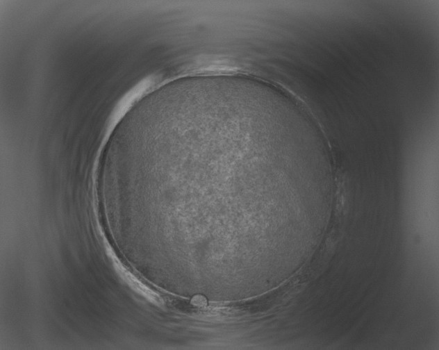 X0000085251475200703161239