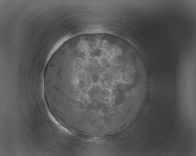 X0000085251476200703161239