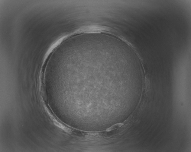 X0000085251477200703161239