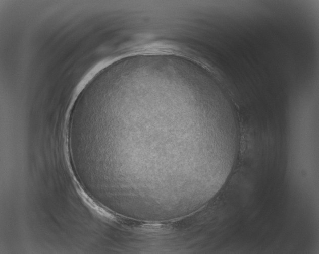 X0000085251478200703161239