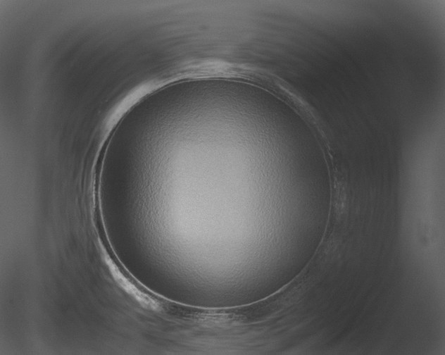 X0000085251479200703161239