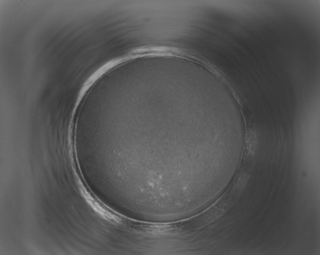 X0000085251482200703161239