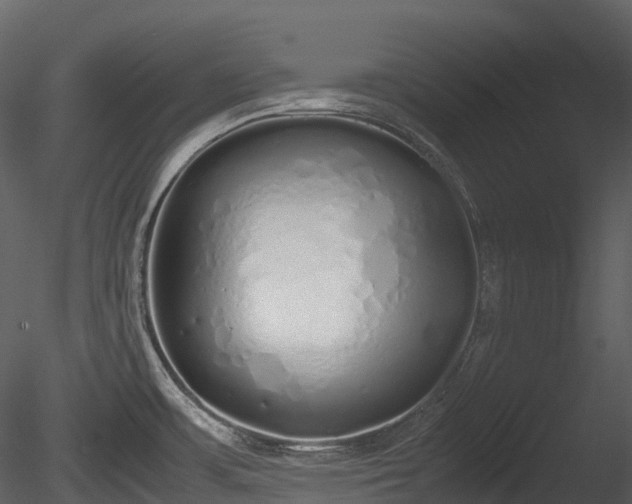 X0000085251483200703161239