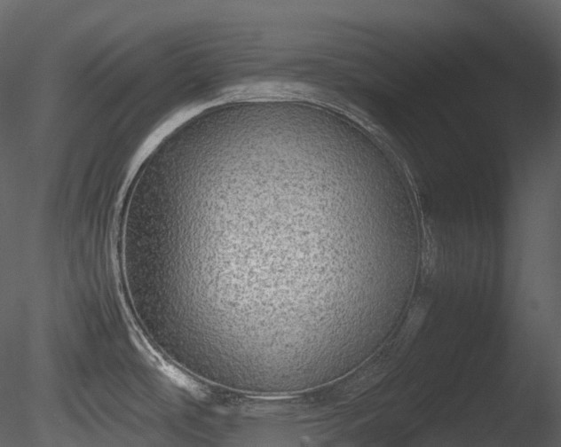 X0000085251486200703161239