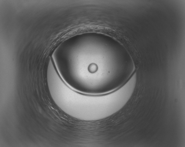 X0000085251492200703161238