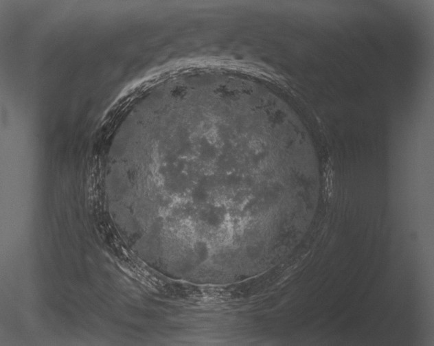 X0000085251494200703161238