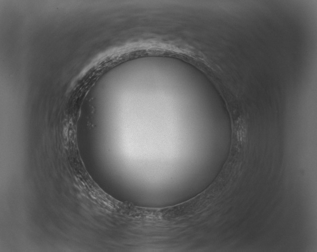 X0000085251495200703161238