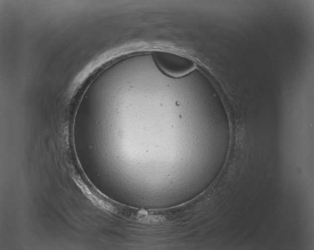 X0000085251503200703161238