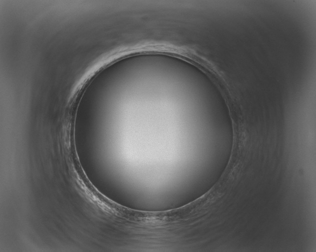 X0000085251504200703161238