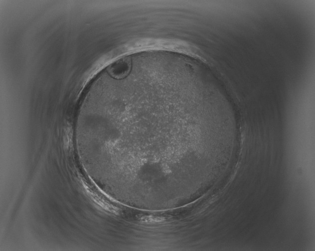 X0000085251505200703161238